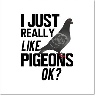 Pigeon - I just really like pigeons ok Posters and Art